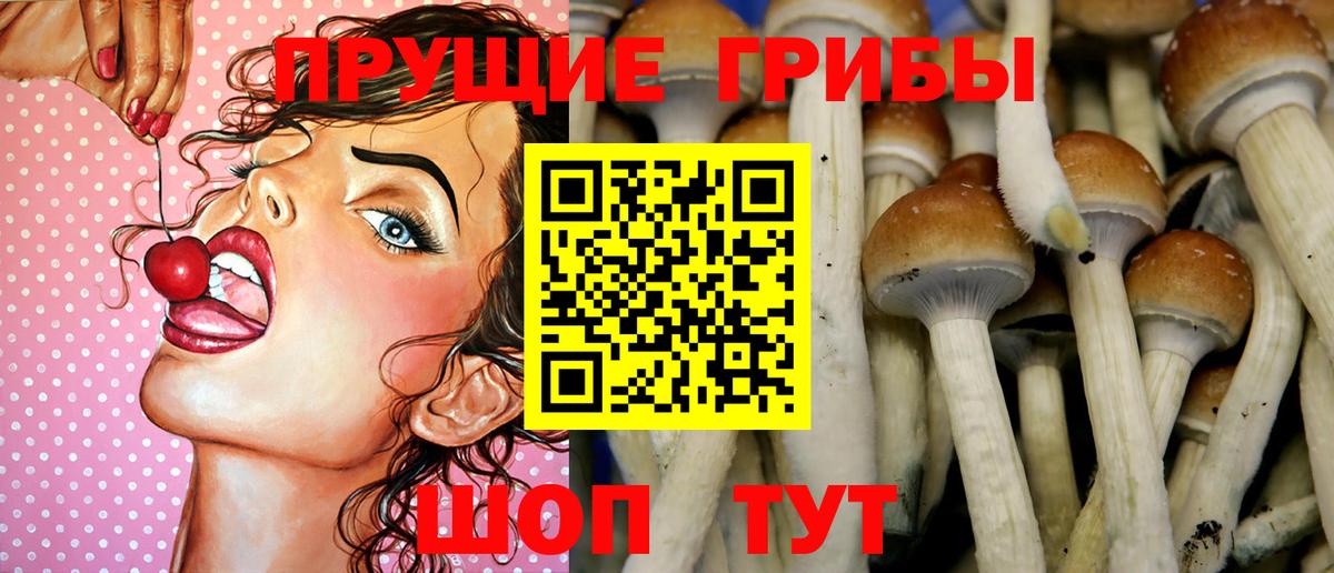 Псилоцибиновые грибы мухоморы Саратов