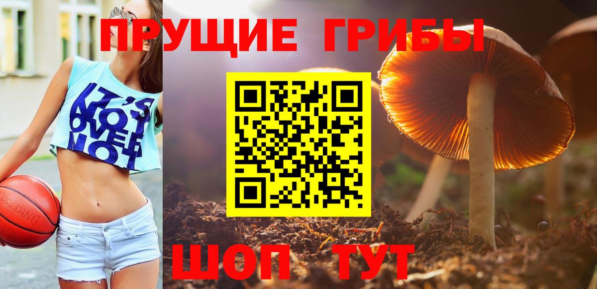 где продают наркотики  Галлюциногенные грибы мухоморы  Вход с VPN  Галлюциногенные грибы прущие грибы  Саратов 